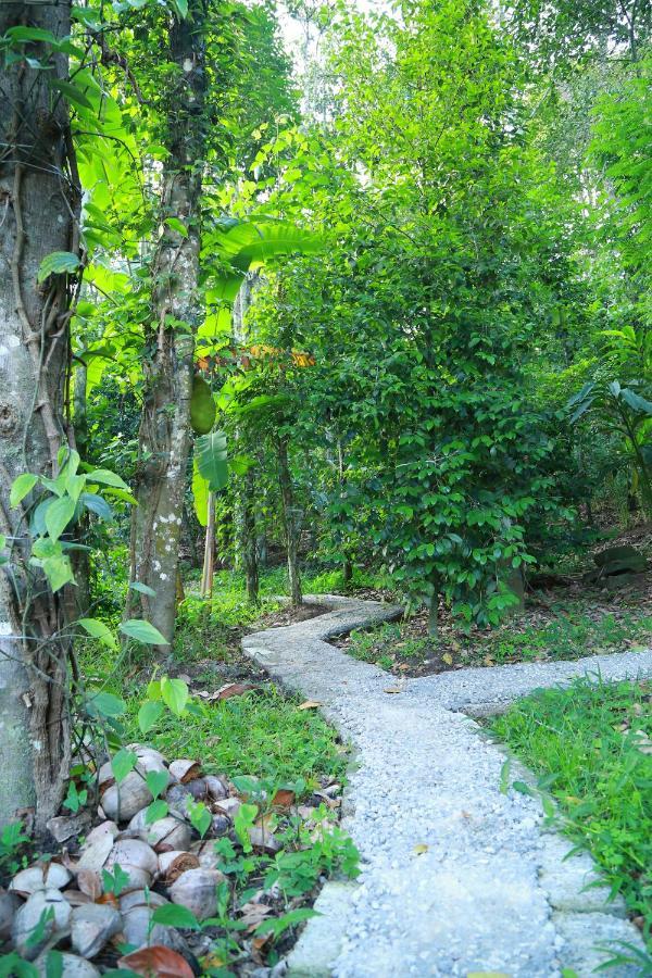 Philip Mary Farm Stay Thekkady Kültér fotó