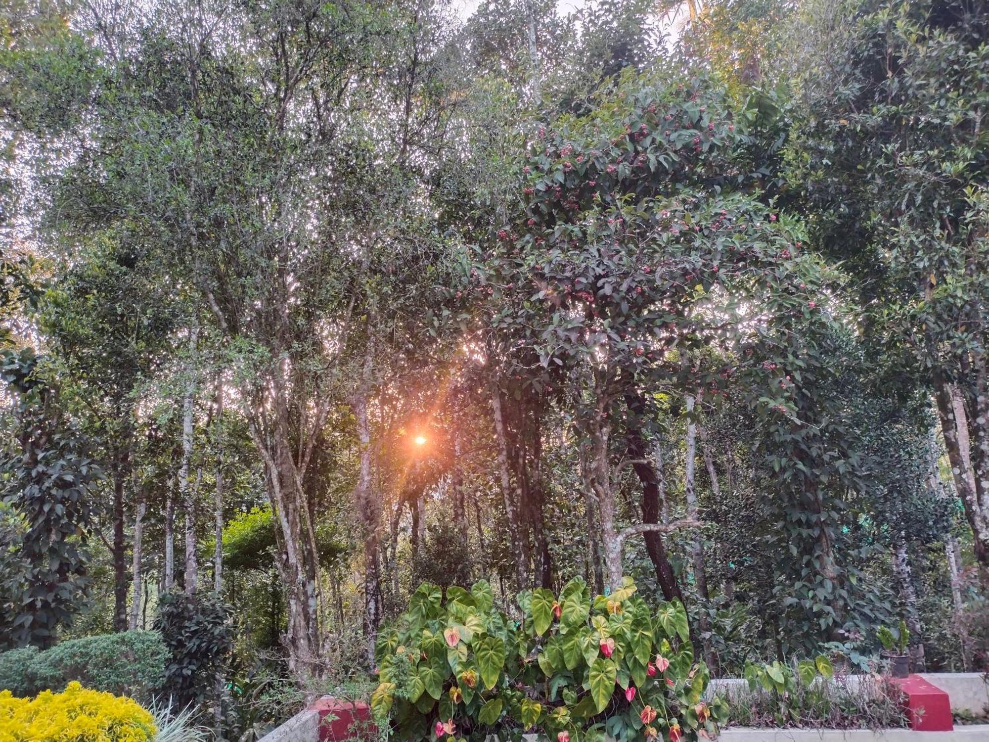 Philip Mary Farm Stay Thekkady Kültér fotó