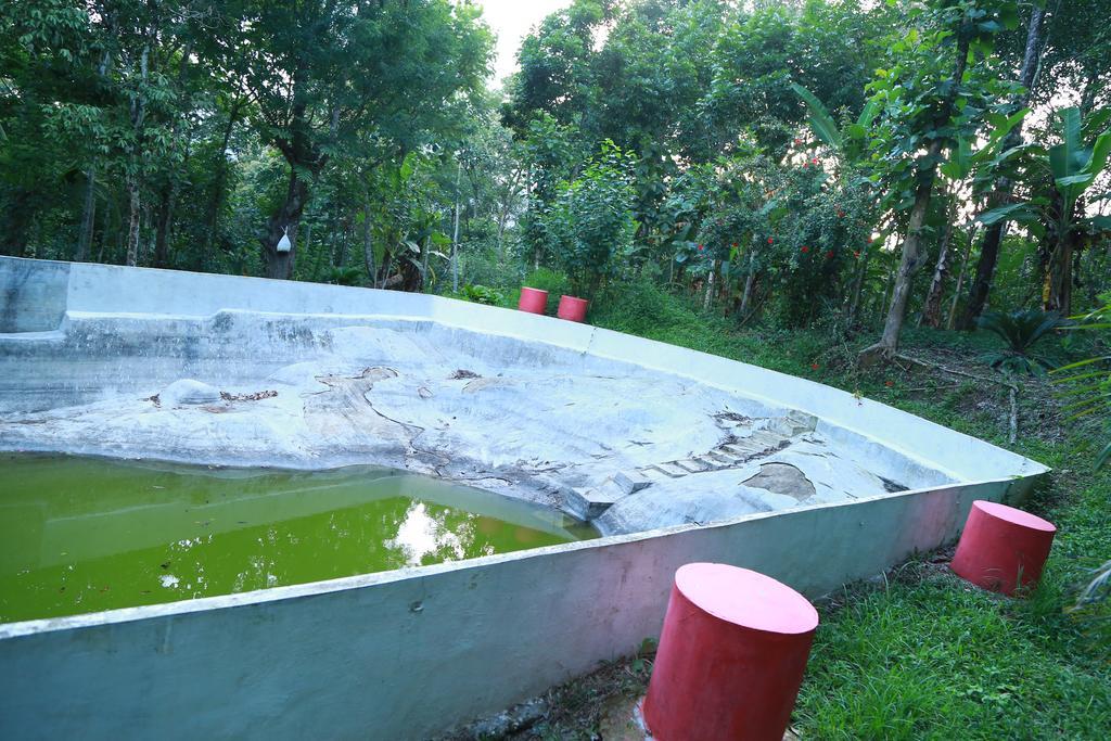Philip Mary Farm Stay Thekkady Kültér fotó