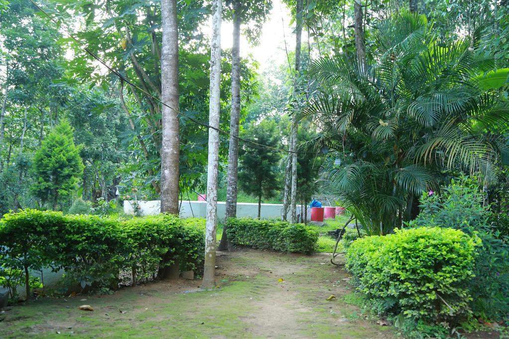 Philip Mary Farm Stay Thekkady Kültér fotó