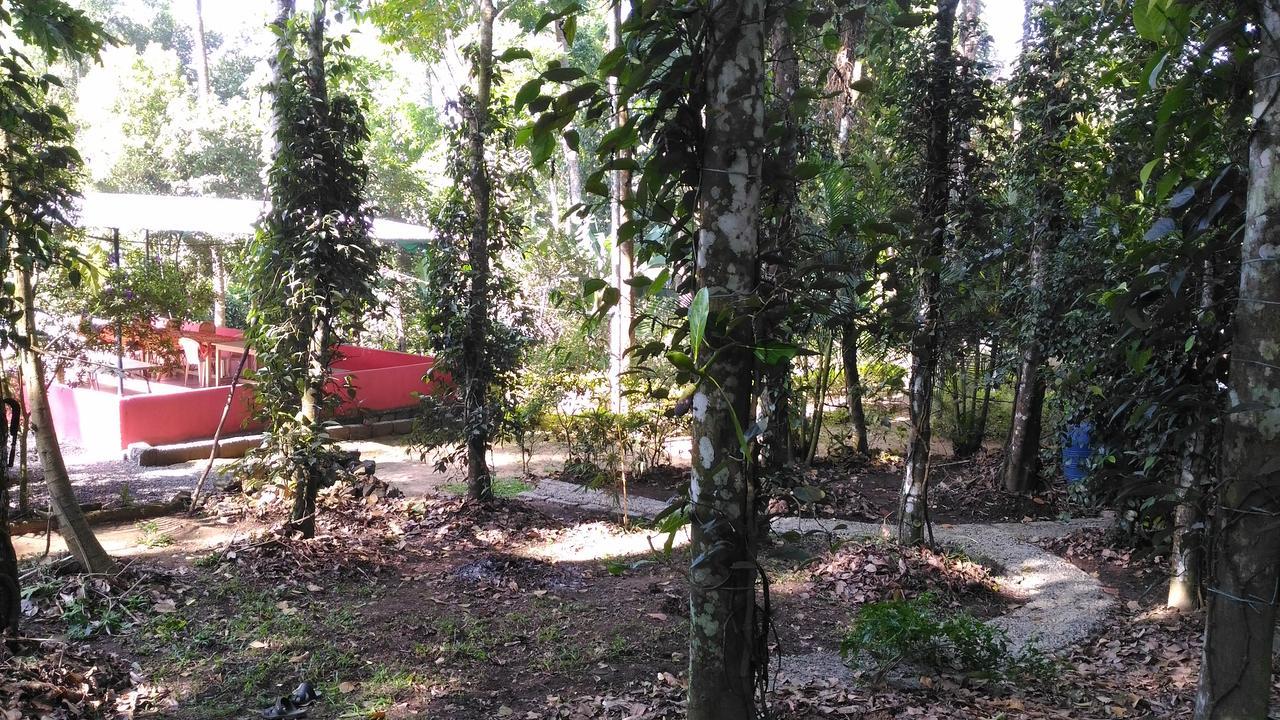 Philip Mary Farm Stay Thekkady Kültér fotó