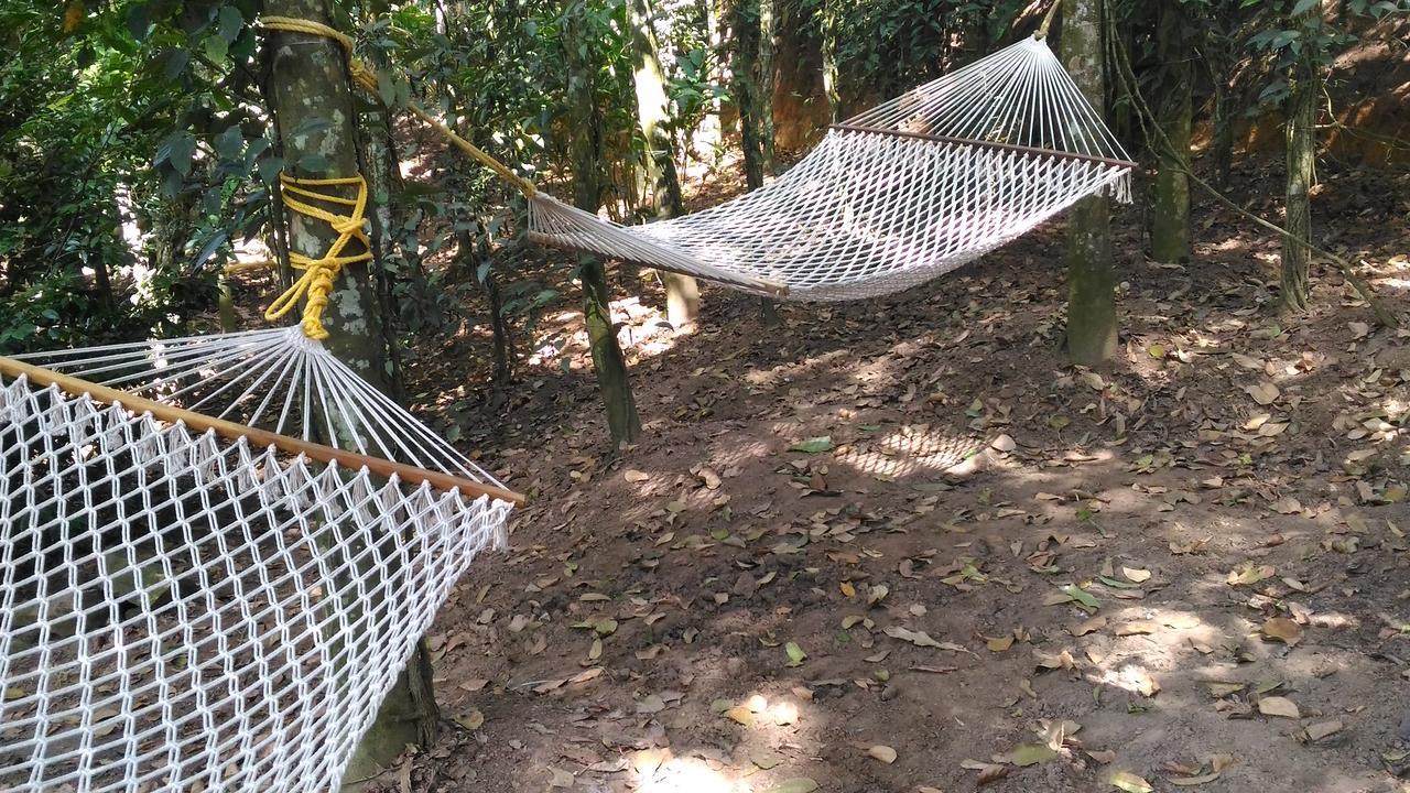 Philip Mary Farm Stay Thekkady Kültér fotó