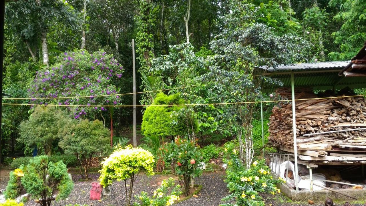 Philip Mary Farm Stay Thekkady Kültér fotó