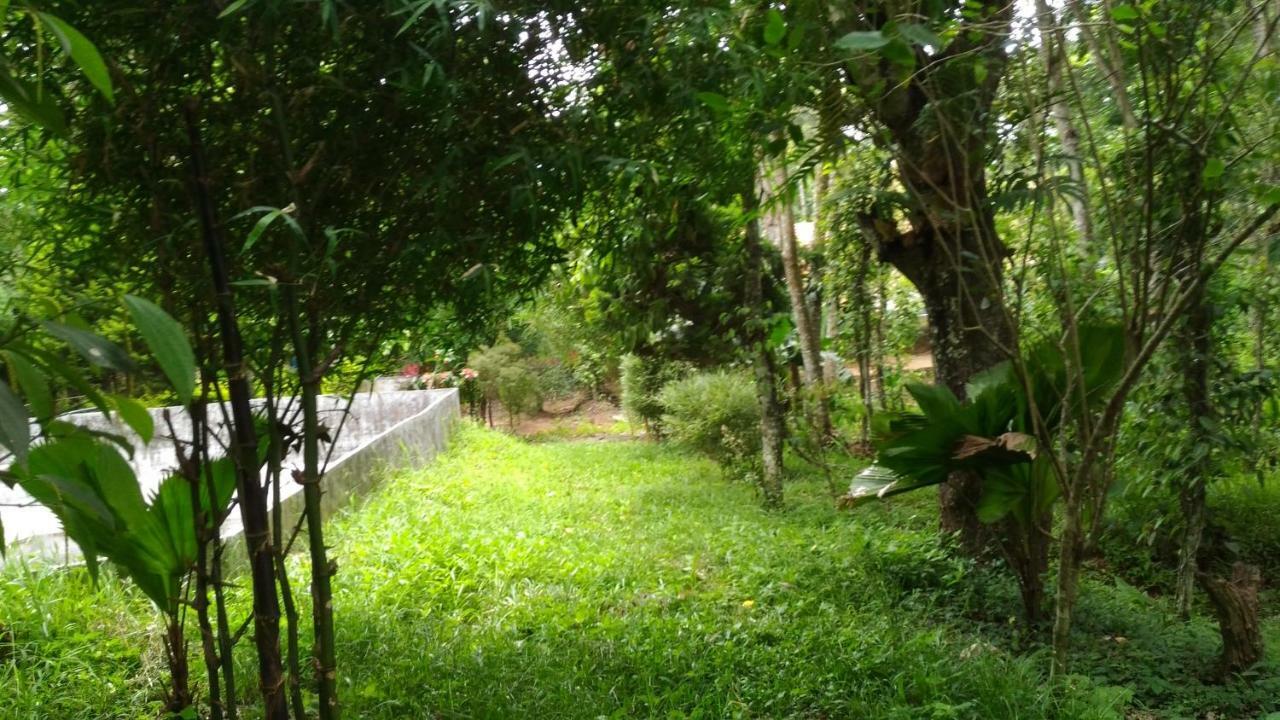 Philip Mary Farm Stay Thekkady Kültér fotó