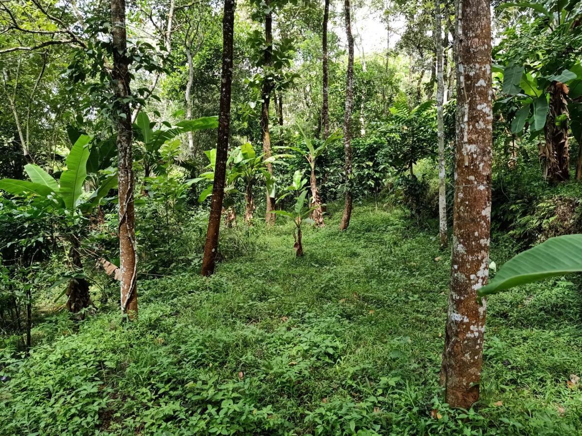 Philip Mary Farm Stay Thekkady Kültér fotó